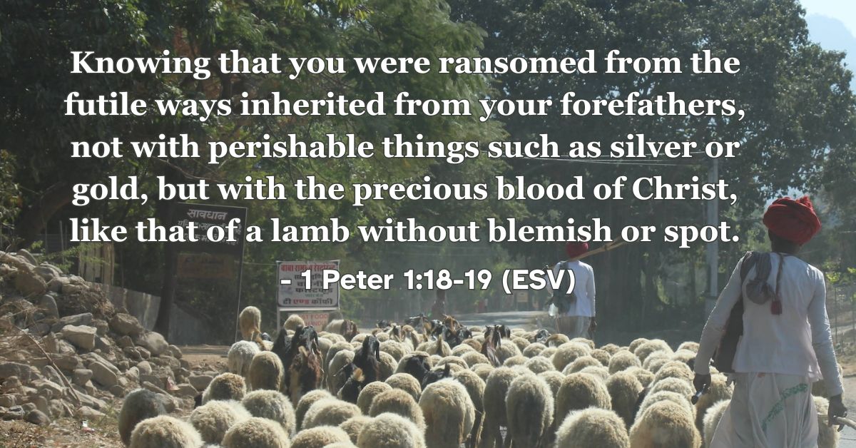 This Bible verse image features 1 Peter 1:18-19 (ESV): “Knowing that you were ransomed from the futile ways inherited from your forefathers, not with perishable things such as silver or gold, but with the precious blood of Christ, like that of a lamb without blemish or spot.” A reminder of the high price paid for our freedom and the perfection of Christ's sacrifice.