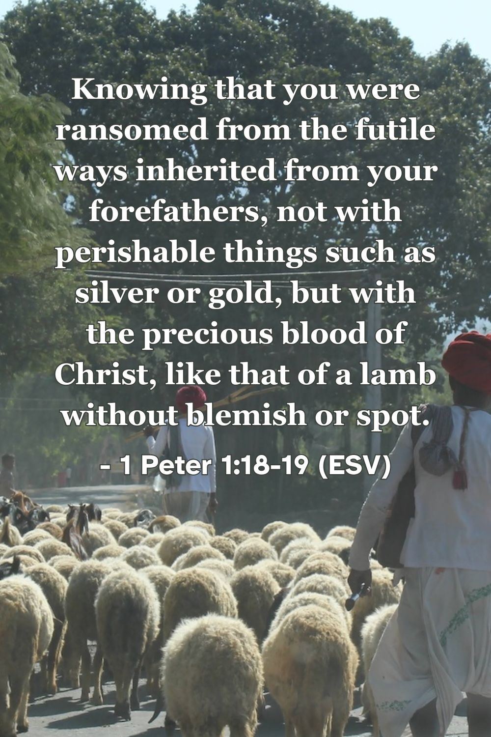 This Bible verse image features 1 Peter 1:18-19 (ESV): “Knowing that you were ransomed from the futile ways inherited from your forefathers, not with perishable things such as silver or gold, but with the precious blood of Christ, like that of a lamb without blemish or spot.” A reminder of the high price paid for our freedom and the perfection of Christ's sacrifice.