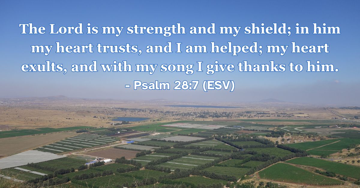 This Bible verse image features Psalm 28:7 (ESV): “The Lord is my strength and my shield; in him my heart trusts, and I am helped; my heart exults, and with my song I give thanks to him.” A reminder of the joy and gratitude that flow from trusting in God's protection.