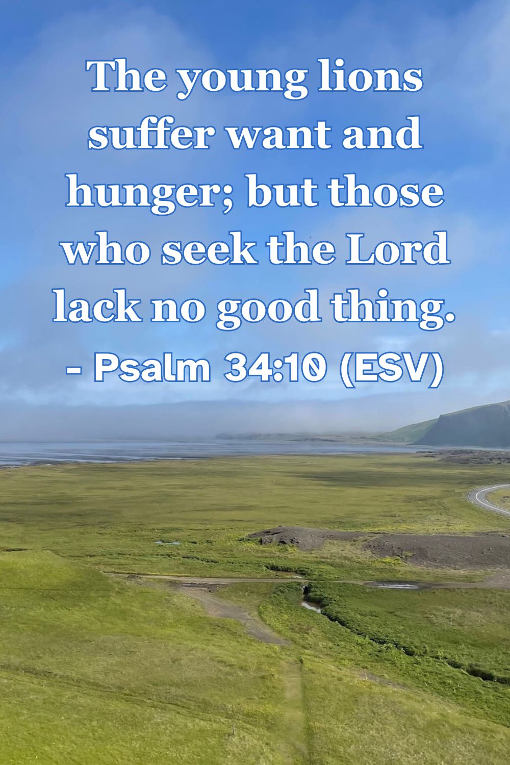 This Bible verse image features Psalm 34:10 (ESV): “The young lions suffer want and hunger; but those who seek the Lord lack no good thing.” A reminder that while even the strong may struggle, those who seek him are fully provided for.