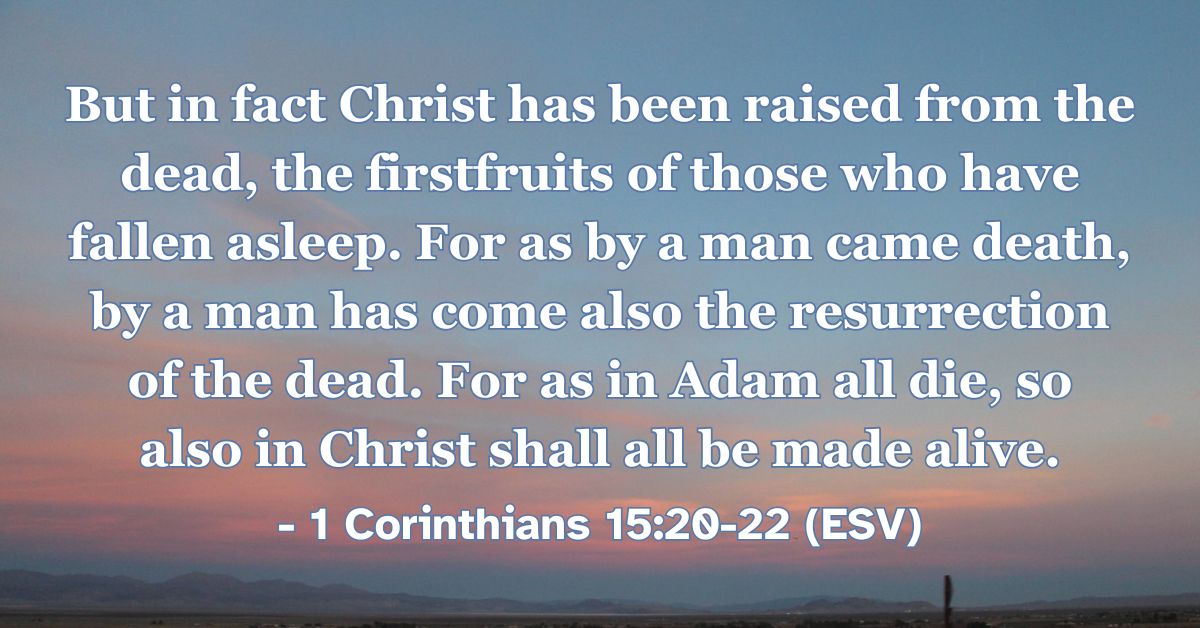 This Bible verse image features 1 Corinthians 15:20-22 (ESV): “But in fact Christ has been raised from the dead, the firstfruits of those who have fallen asleep. For as by a man came death, by a man has come also the resurrection of the dead. For as in Adam all die, so also in Christ shall all be made alive.” A reminder of Christ as the firstfruits of the resurrection, bringing life to all who are in him.