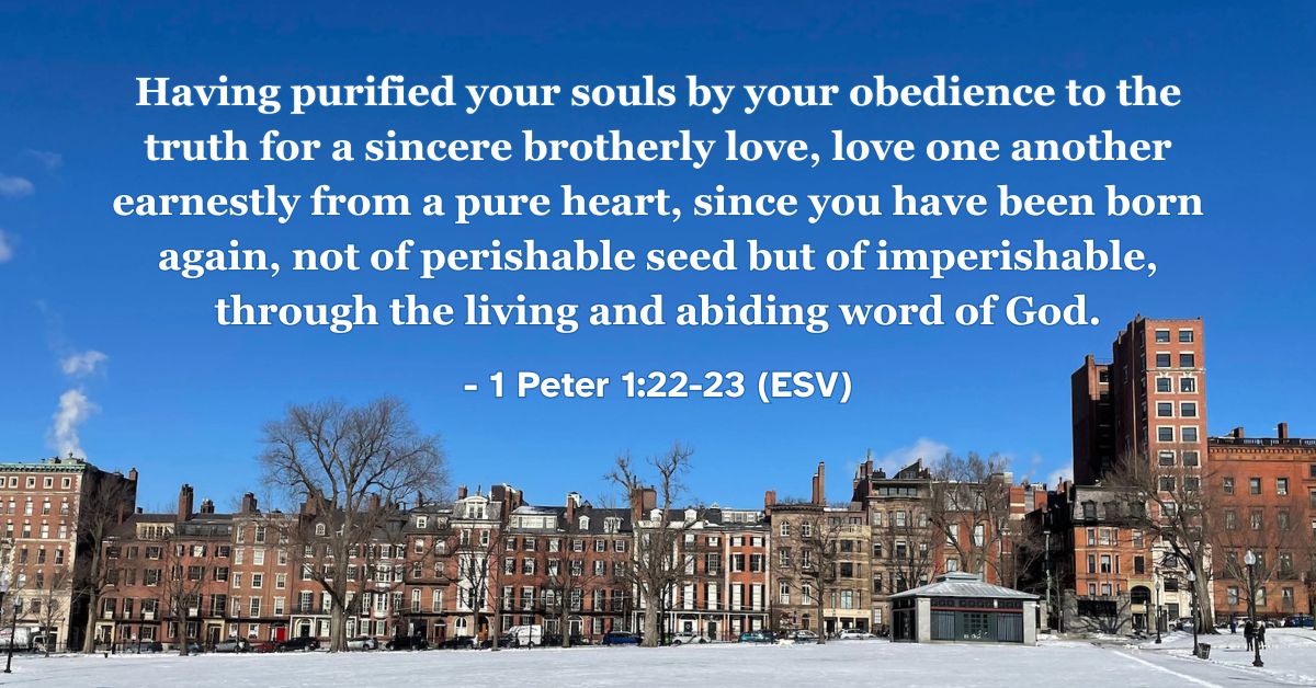 This Bible verse image features 1 Peter 1:22-23 (ESV): “Having purified your souls by your obedience to the truth for a sincere brotherly love, love one another earnestly from a pure heart, since you have been born again, not of perishable seed but of imperishable, through the living and abiding word of God.” A reminder of being born again through the enduring Word of God.