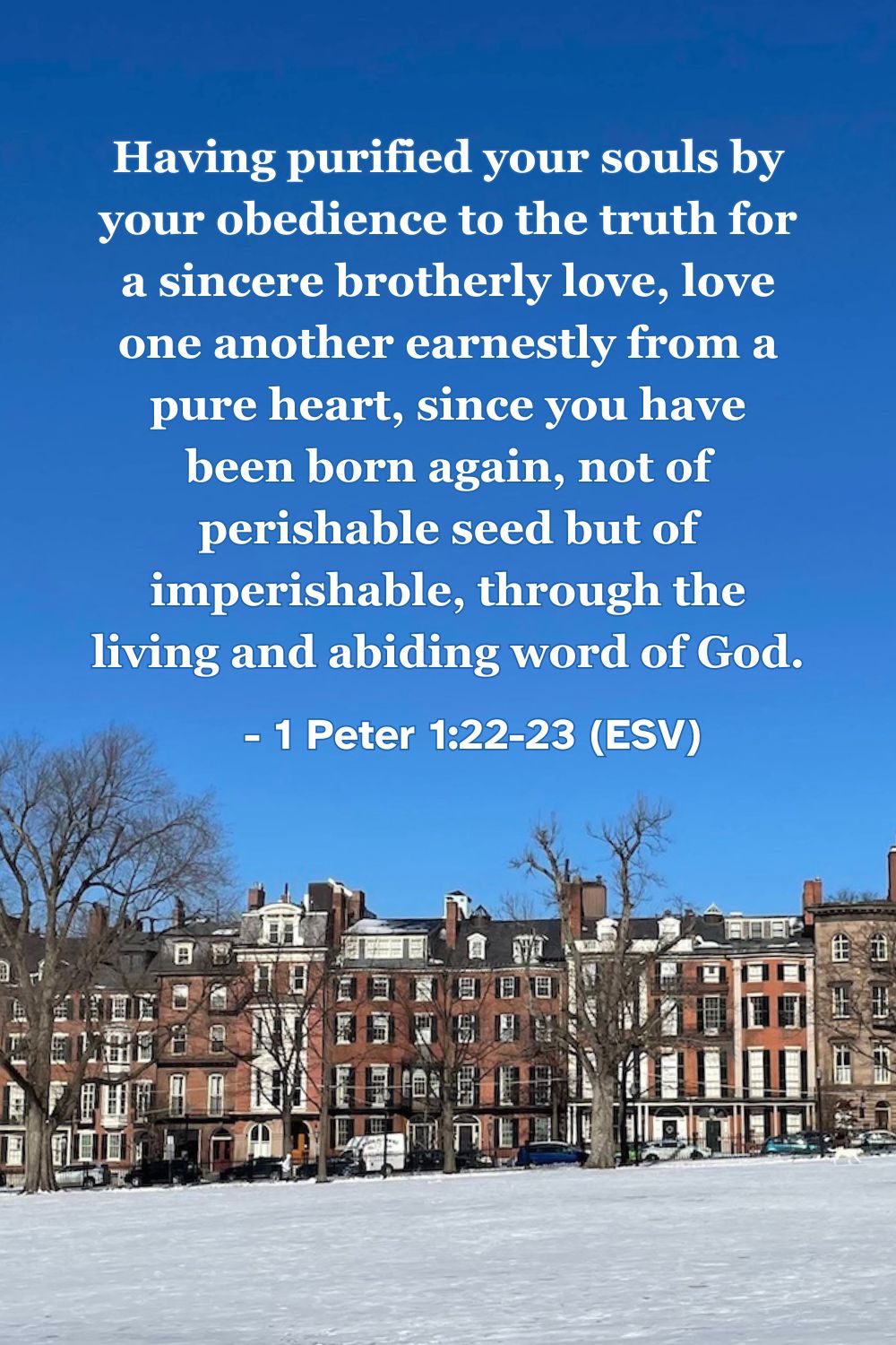 This Bible verse image features 1 Peter 1:22-23 (ESV): “Having purified your souls by your obedience to the truth for a sincere brotherly love, love one another earnestly from a pure heart, since you have been born again, not of perishable seed but of imperishable, through the living and abiding word of God.” A reminder of being born again through the enduring Word of God.