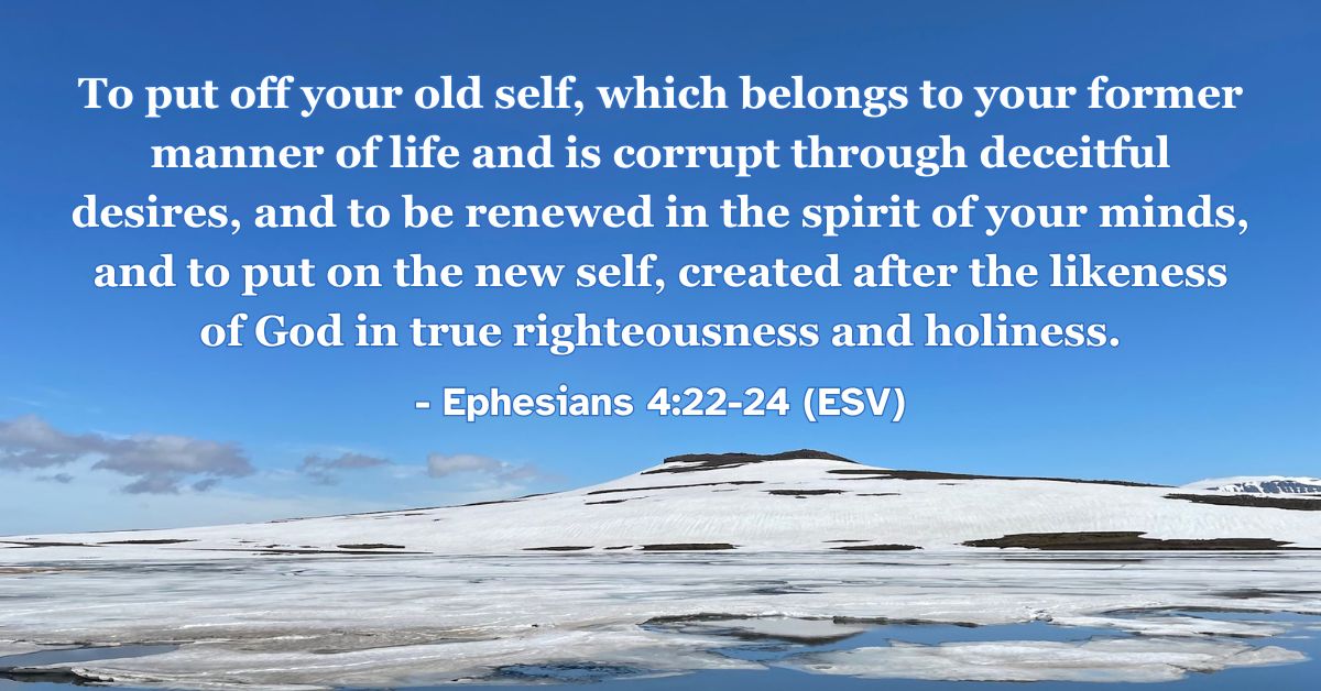 This Bible verse image features Ephesians 4:22-24 (ESV): “To put off your old self, which belongs to your former manner of life and is corrupt through deceitful desires, and to be renewed in the spirit of your minds, and to put on the new self, created after the likeness of God in true righteousness and holiness.” A reminder of our ongoing transformation and renewal in Christ.