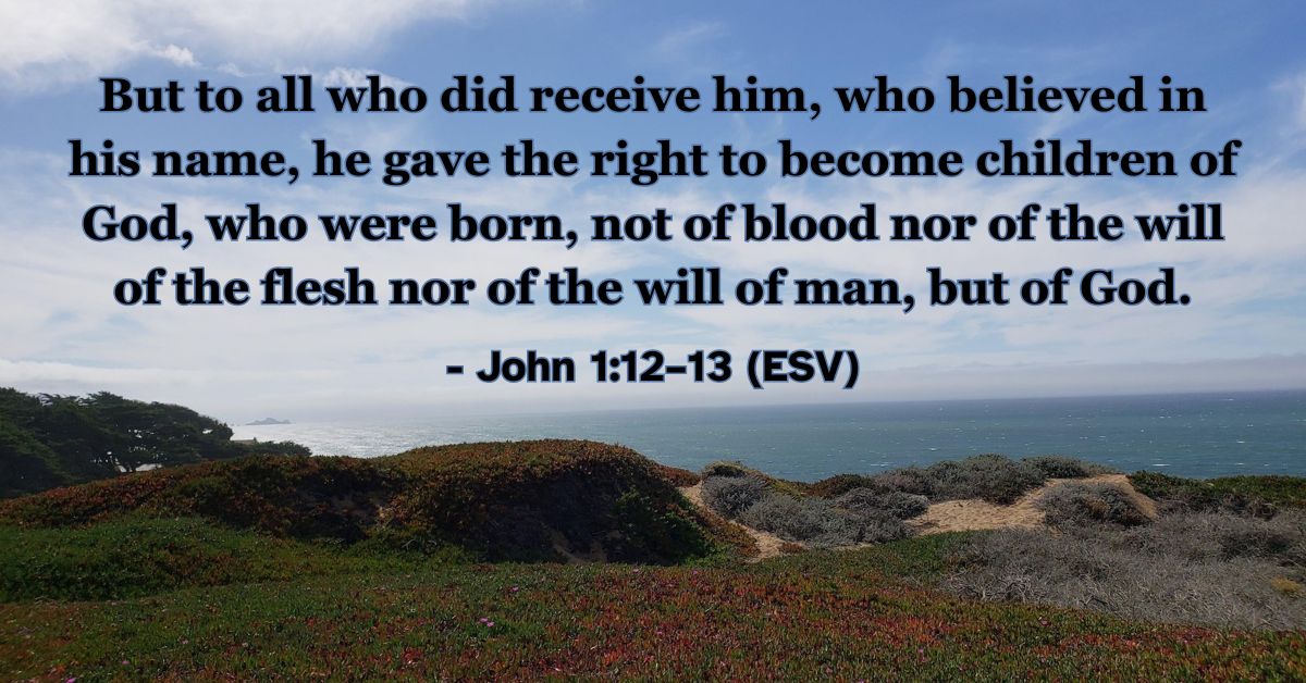 This Bible verse image features John 1:12–13 (ESV): “But to all who did receive him, who believed in his name, he gave the right to become children of God, who were born, not of blood nor of the will of the flesh nor of the will of man, but of God.” A reminder of the privilege of becoming children of God through faith.