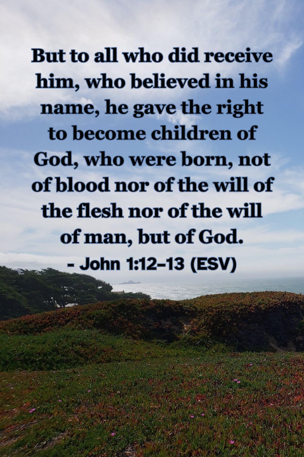 This Bible verse image features John 1:12–13 (ESV): “But to all who did receive him, who believed in his name, he gave the right to become children of God, who were born, not of blood nor of the will of the flesh nor of the will of man, but of God.” A reminder of the privilege of becoming children of God through faith.