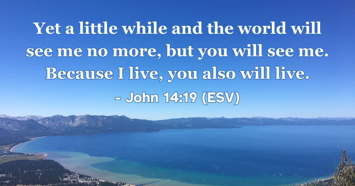 This Bible verse image features John 14:19 (ESV): “Yet a little while and the world will see me no more, but you will see me. Because I live, you also will live.” A reminder of the promise that because Christ lives, we also have eternal life.