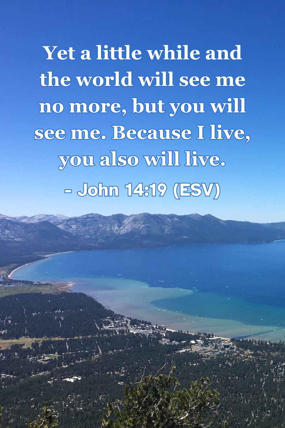 This Bible verse image features John 14:19 (ESV): “Yet a little while and the world will see me no more, but you will see me. Because I live, you also will live.” A reminder of the promise that because Christ lives, we also have eternal life.