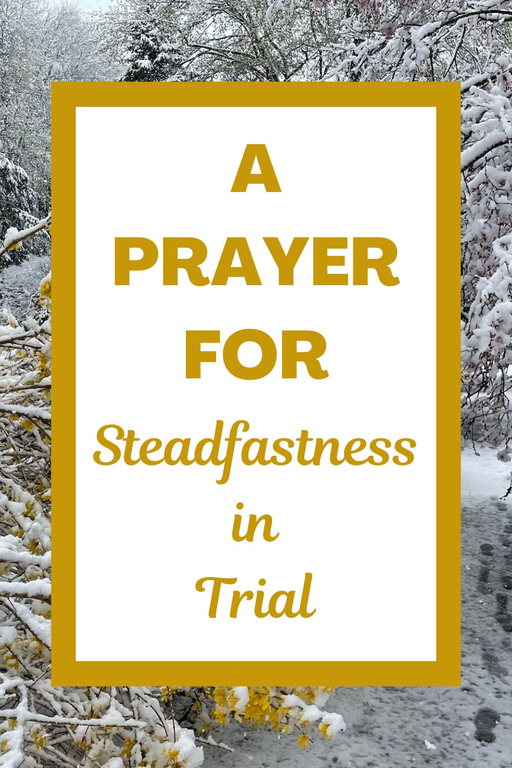 Finding joy and contentment in the Christian life is possible even during trials when we look at the steadfastness of Job. This prayer and reflection on James 5:11 reminds us that the Lord is compassionate and merciful, placing limits on our struggles and walking with us in the valley. We can stand firm knowing that God is working out his good purpose in our lives. May you be blessed with strength and peace as you remain steadfast! #BibleStudy #BibleVerse #Prayer #James