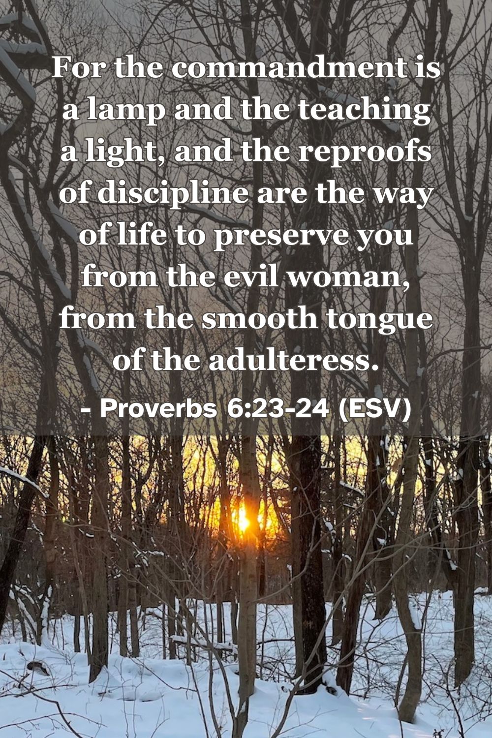 This Bible verse image features Proverbs 6:23-24 (ESV): “For the commandment is a lamp and the teaching a light, and the reproofs of discipline are the way of life to preserve you from the evil woman, from the smooth tongue of the adulteress.” A reminder of how God’s Word illuminates our path and preserves us from temptation.