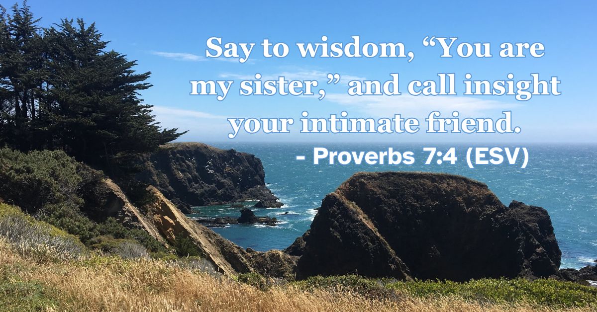 This Bible verse image features Proverbs 7:4 (ESV): “Say to wisdom, ‘You are my sister,’ and call insight your intimate friend.” A reminder of the close, personal relationship we should maintain with God’s wisdom.