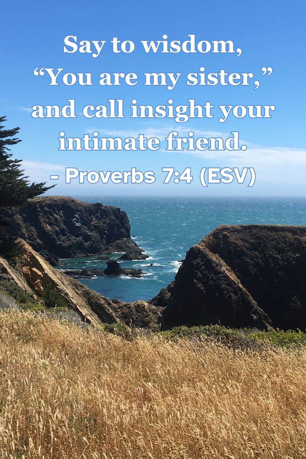 This Bible verse image features Proverbs 7:4 (ESV): “Say to wisdom, ‘You are my sister,’ and call insight your intimate friend.” A reminder of the close, personal relationship we should maintain with God’s wisdom.