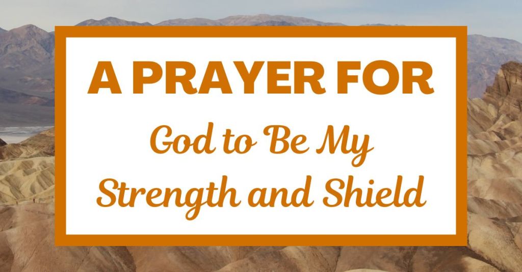 A Prayer for God to Be My Strength and Shield: Psalm 28:7