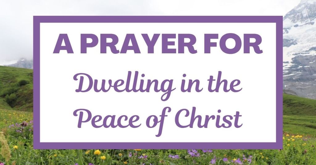 Finding joy and contentment in the Christian life happens when we stop relying on world’s temporary fixes and receive the peace of Jesus. This prayer and reflection on John 14:27 explores how surrendering our need for control brings rest to a troubled heart. Even when the journey feels scary, we can trust our Father to protect us and make all things right. May you find true rest in his presence today! #Prayer #GospelOfJohn #PeaceOfChrist